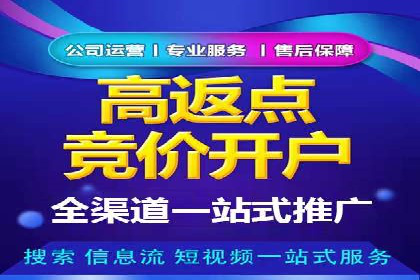 专业SEM服务公司案例分析报告